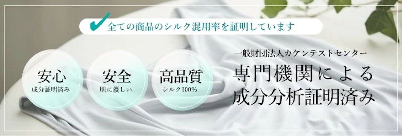 レースブラジャー 11