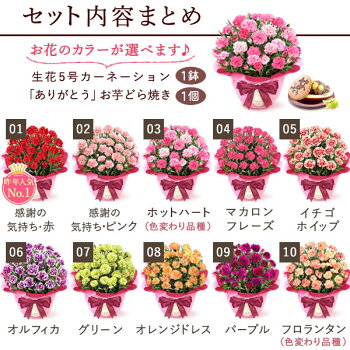 選べる鉢花とスイーツセット 2
