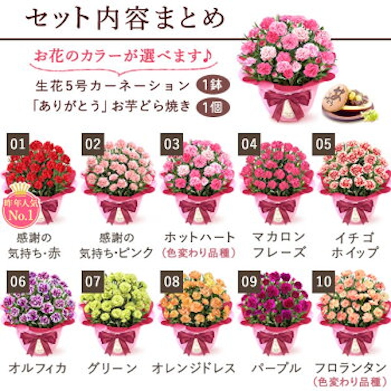 選べる鉢花とスイーツセット 2
