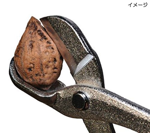 和くるみ割り器 ほじくるみん付 3