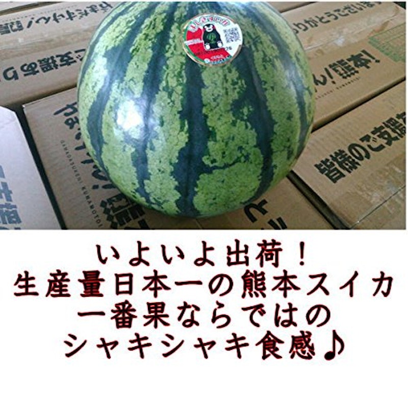訳ありスイカ 3