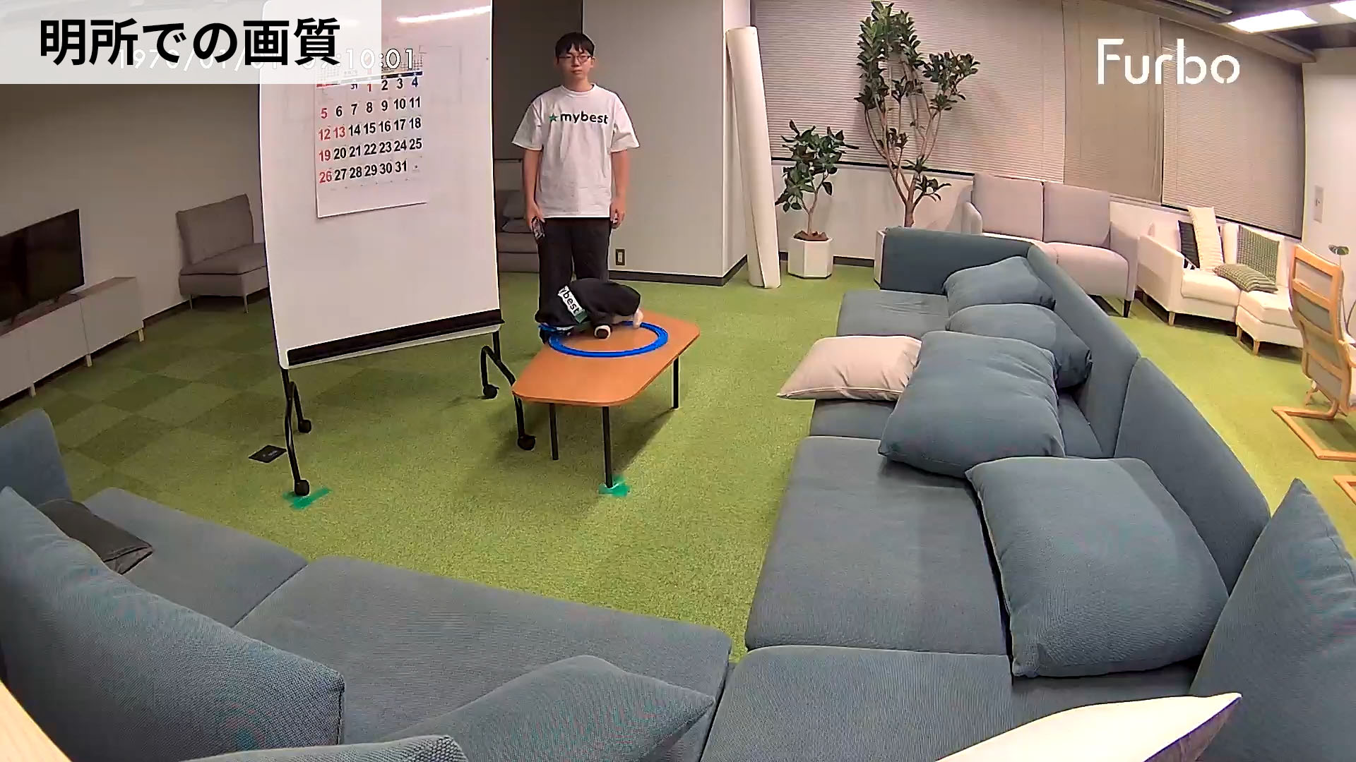 ドッグカメラ 360°ビュー 9