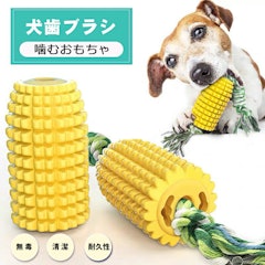 21年 犬用留守番おもちゃのおすすめ人気ランキング10選 Mybest 21年 犬用留守番おもちゃのおすすめ人気ランキング10選 Mybest
