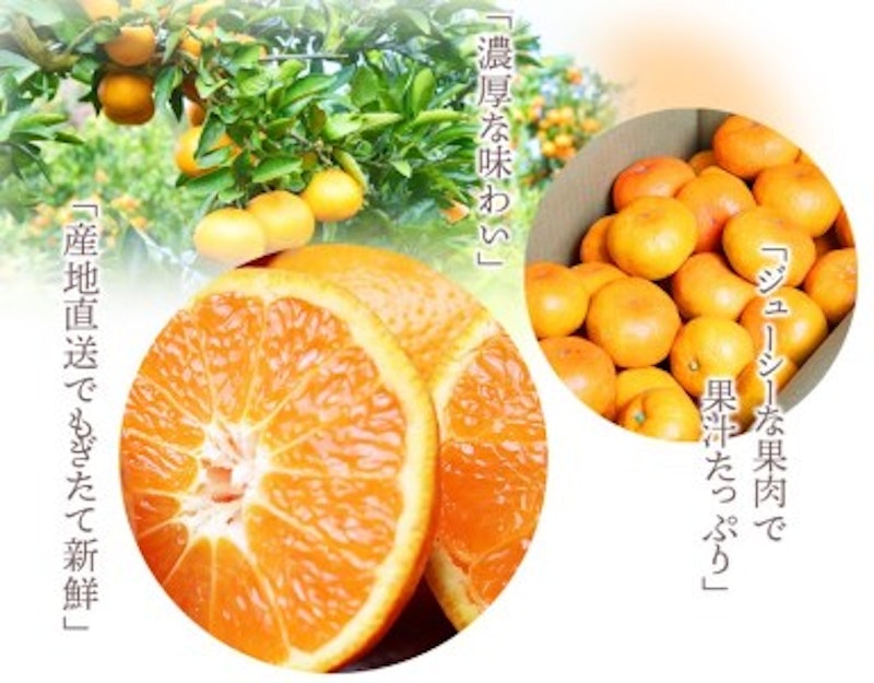 田村みかん 3