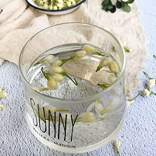 茉莉花茶 5