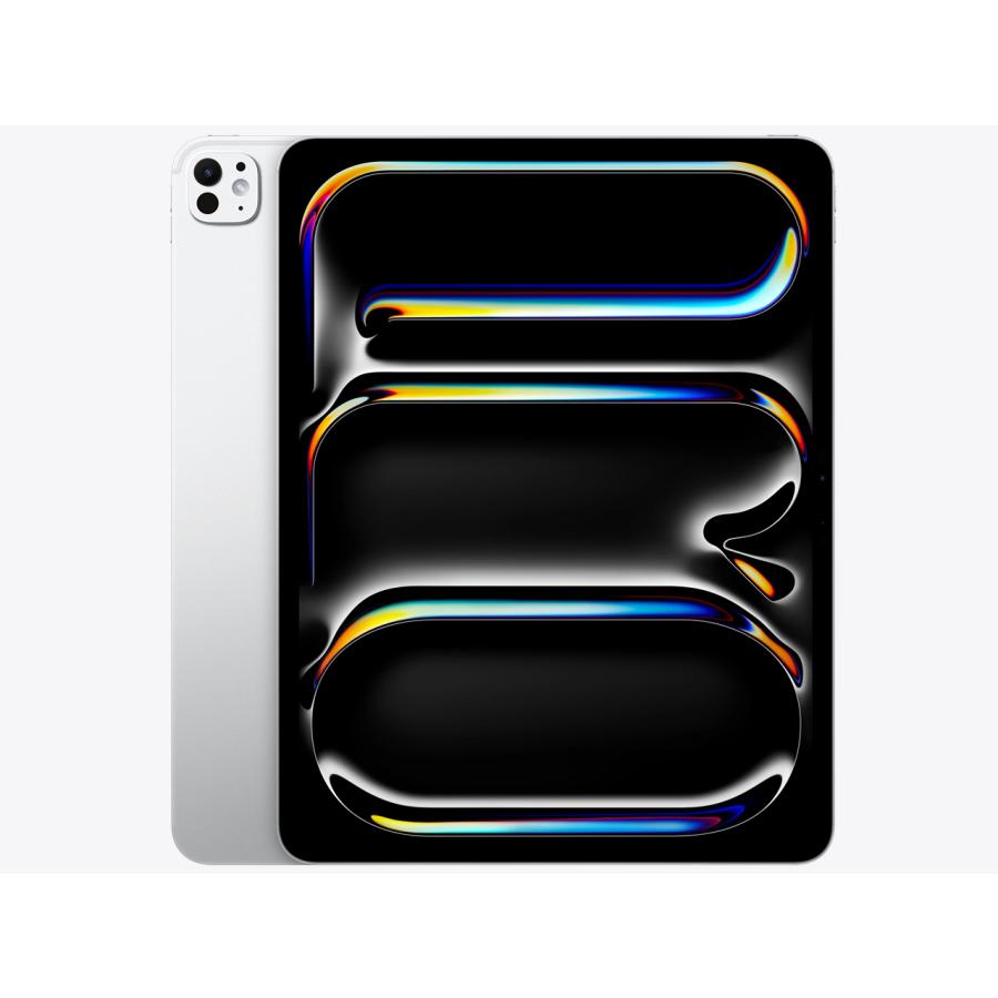 iPad Pro 13インチ 1