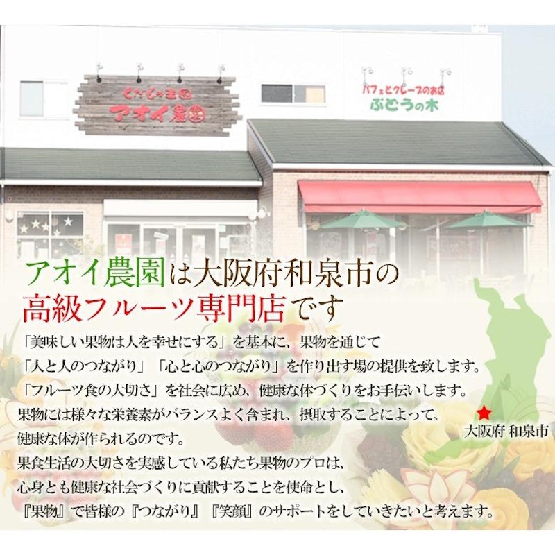 果実ごろっと 高級ゼリーセット 5