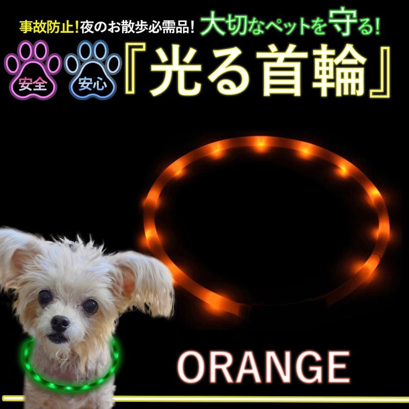 光る首輪 6