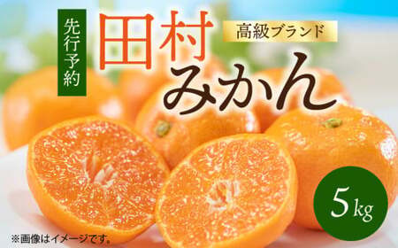 田村みかん 1