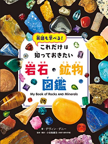 岩石鉱物標本 30種 ROCKS & MINERALS - 標本用品