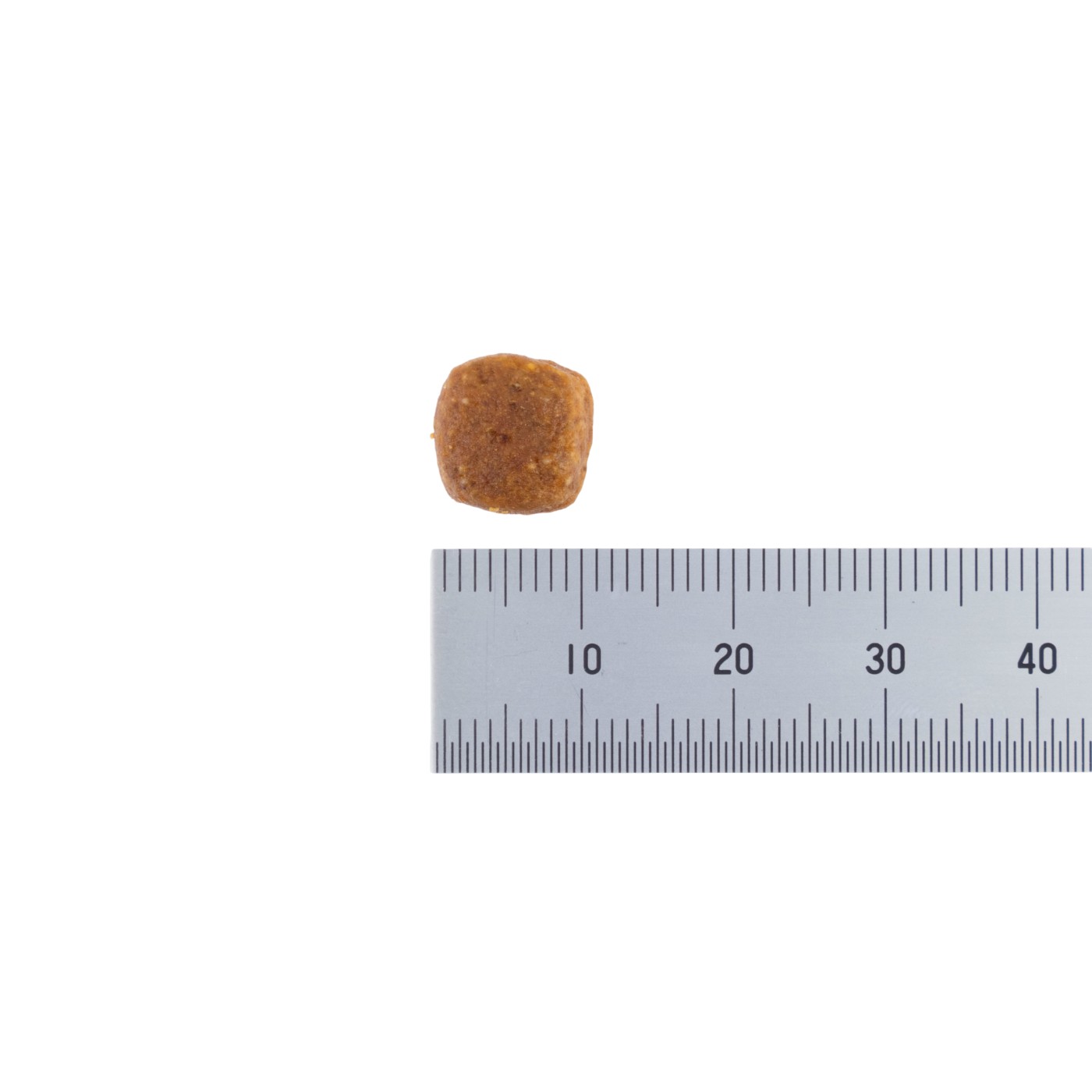 メインクーン 専用フード 子猫用 6