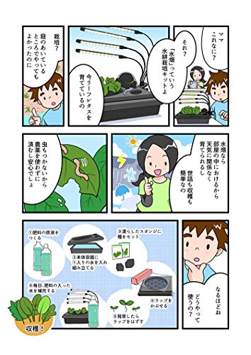 LED付き水畑 7