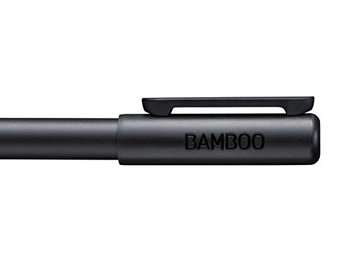 Bamboo Smart 4