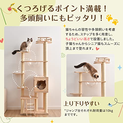 キャットタワー  3