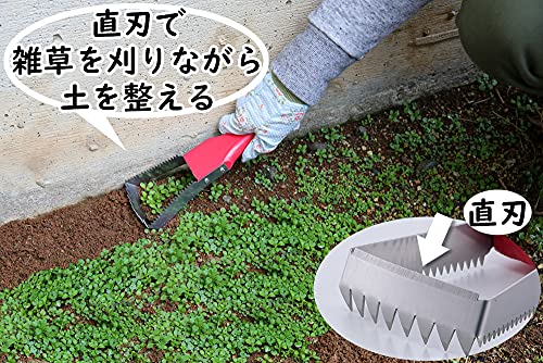 ラク〜に草取り 4