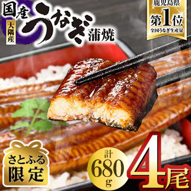 鹿児島県大隅産うなぎ蒲焼 1