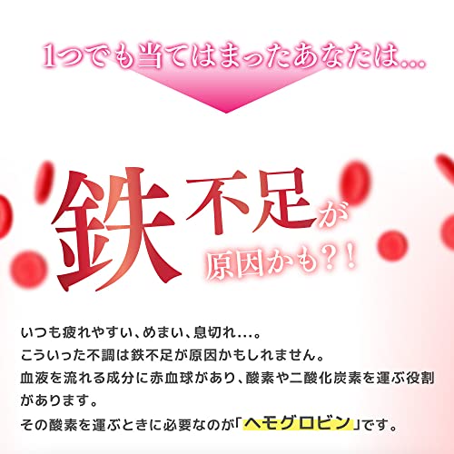 Ferun 鉄+ミネラル 4