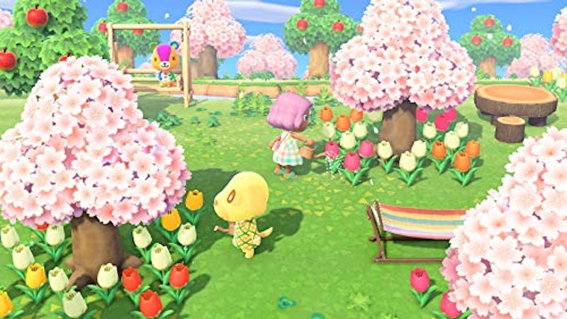 あつまれ どうぶつの森 5