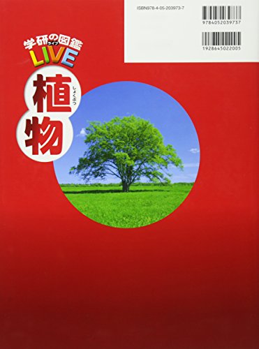 植物 2