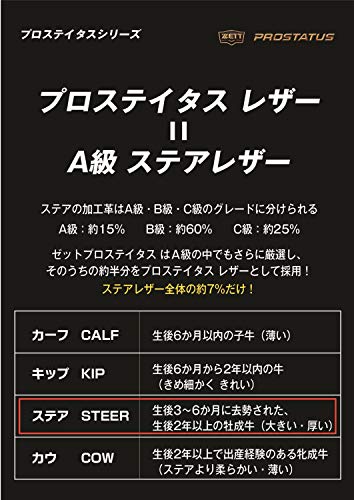 プロステイタス 5