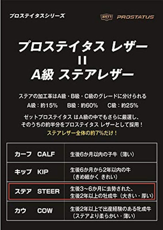 プロステイタス 5