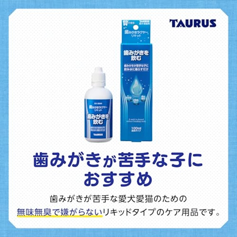 歯みがきラクヤー リキッド 2