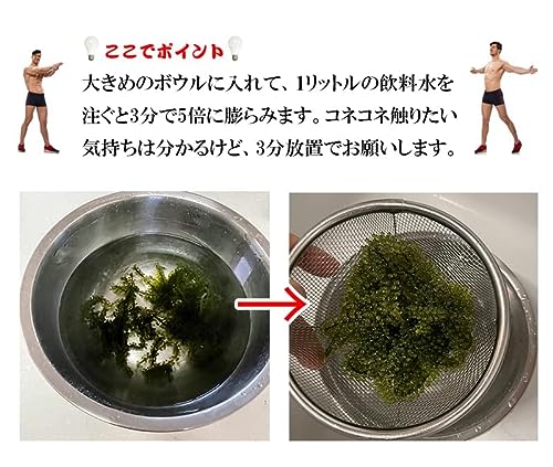 海ぶどう 4