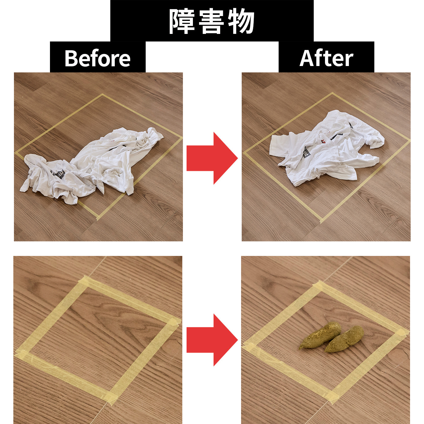 Roomba Combo 2 Essential robot +AutoEmpty 充電ステーション 17