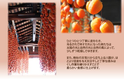 市田柿 2