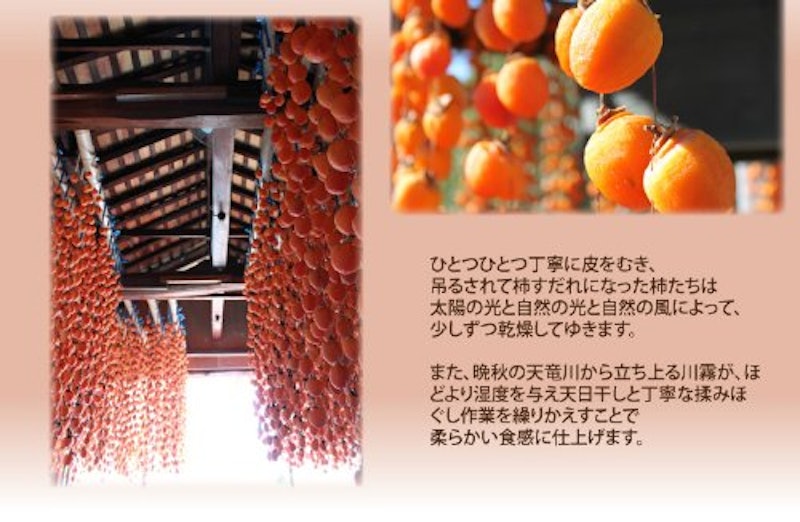 市田柿 2