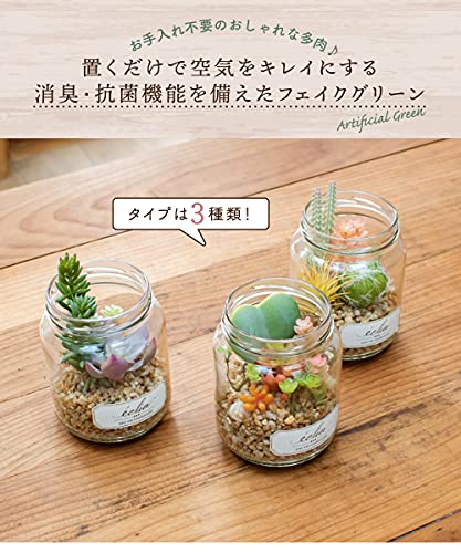 消臭アーティフィシャルグリーン ECLIA 4