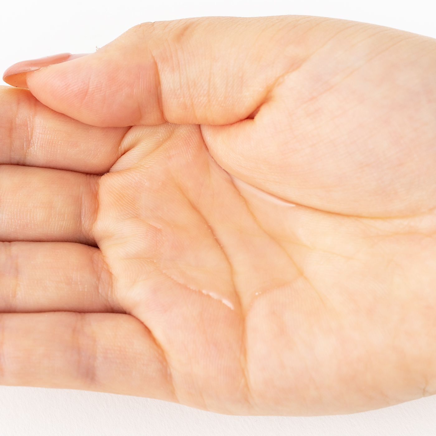 ジョイペット アミノリンスインシャンプー 全犬用を全17商品と比較 口コミや評判を実際に使ってレビューしました Mybest