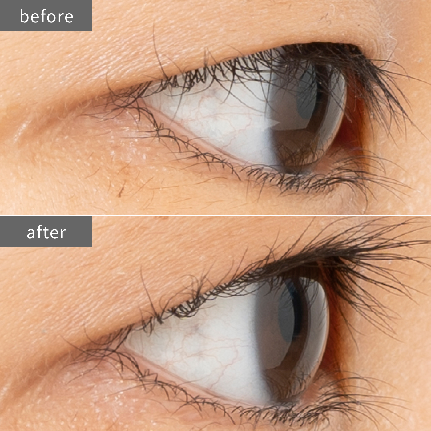 徹底比較 ビューラーのおすすめ人気ランキング33選 年最新版 Mybest