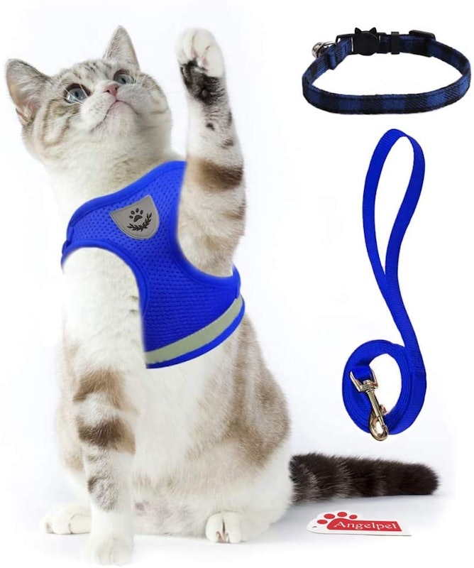 猫用ハーネス 5