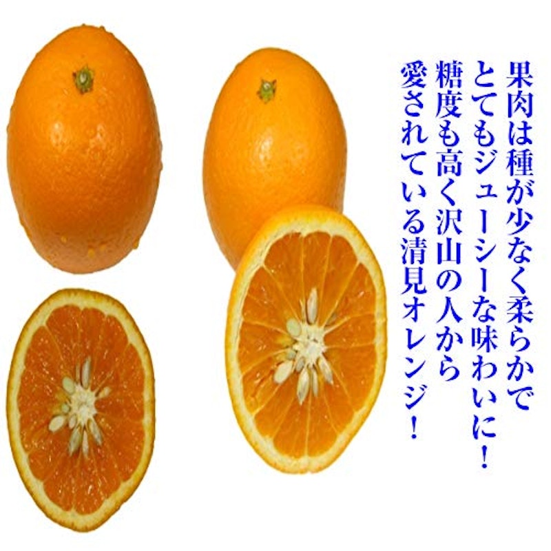 訳あり 清見オレンジ 3