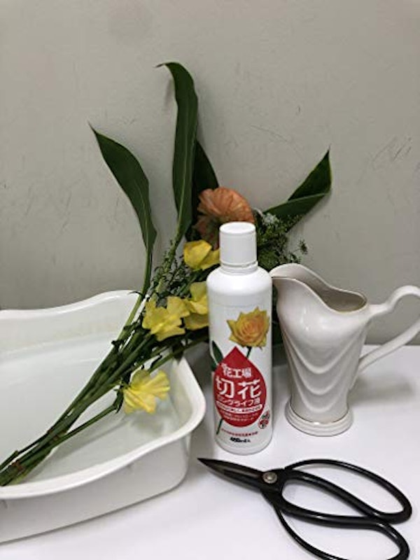 花工場切花ロングライフ液 2