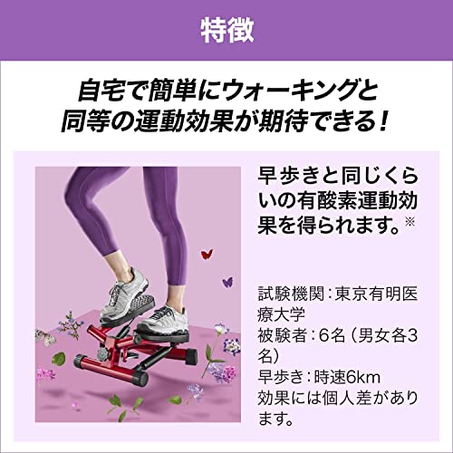 健康ステッパー ナイスデイ+専用ハンドル+サポートマットセット 4