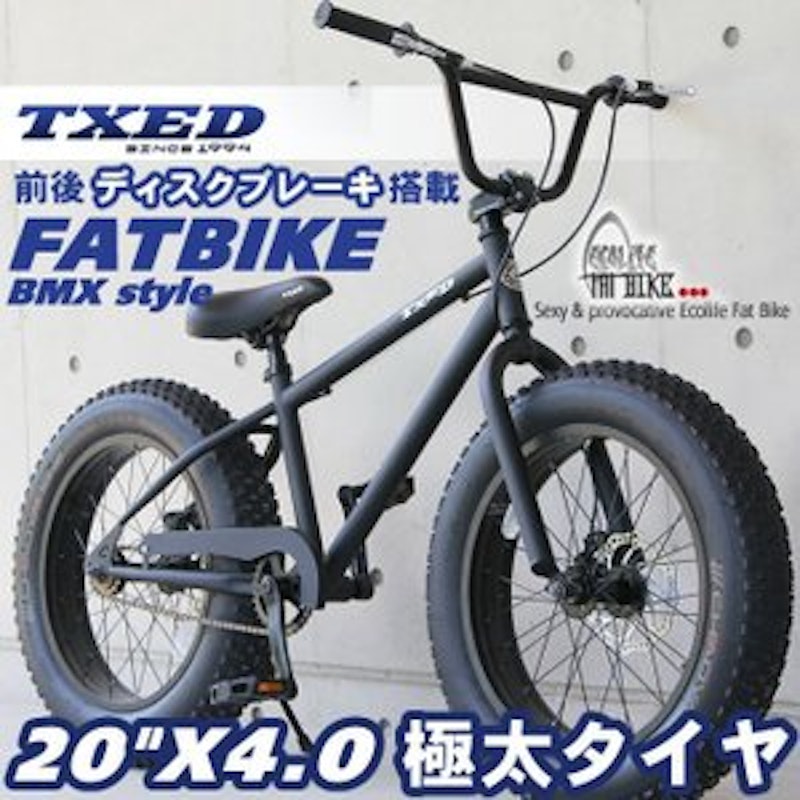 TXED ファットバイク ビーチクルーザー 1