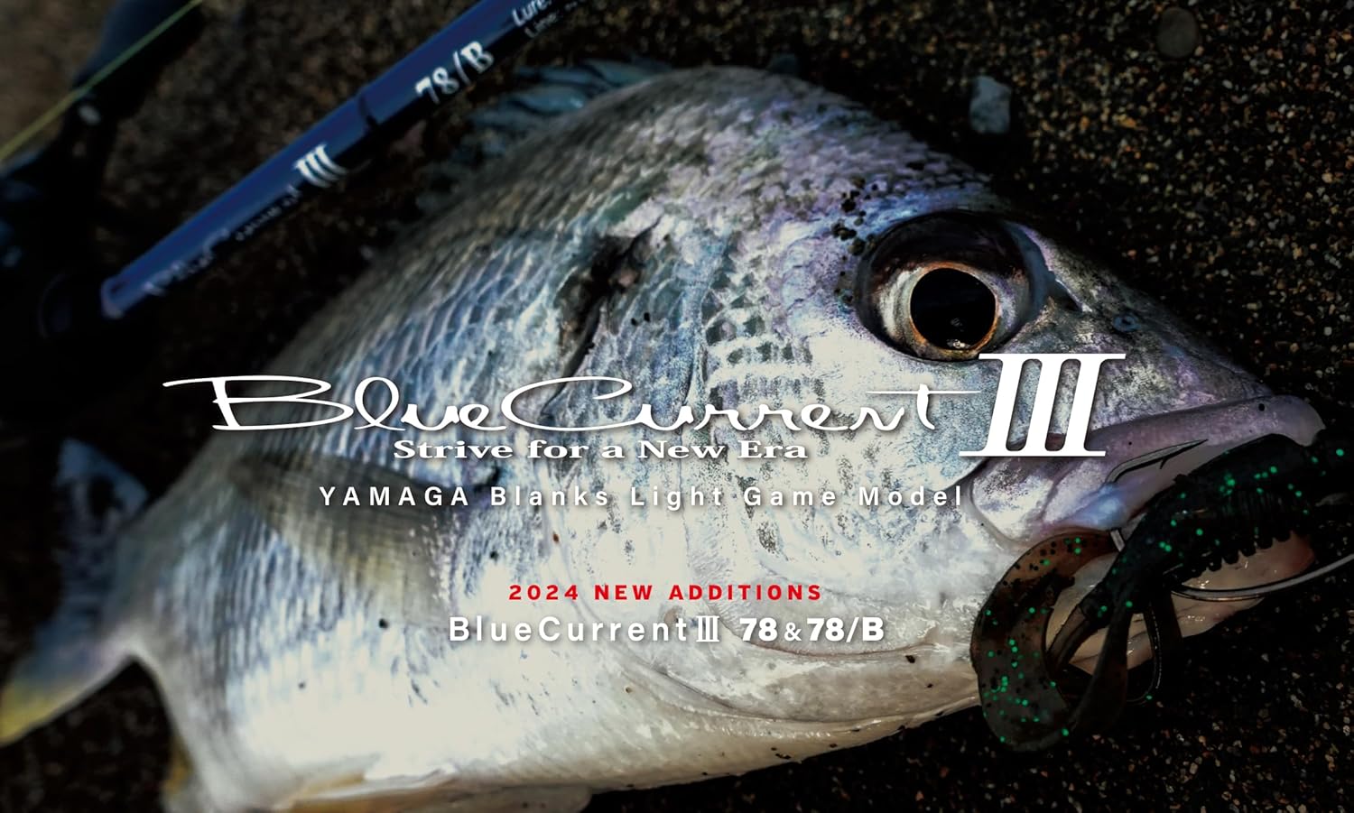 BlueCurrentⅢ 78 3