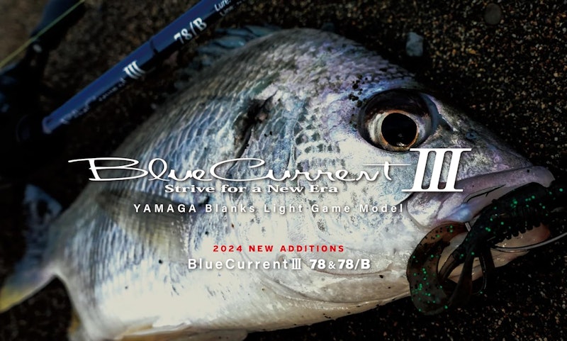 BlueCurrentⅢ 78 3