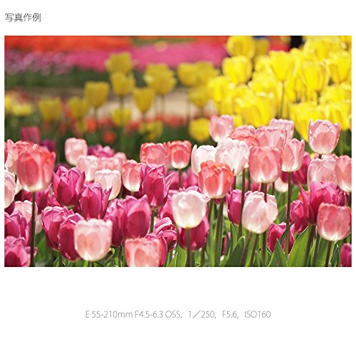 E 55-210mm F4.5-6.3 OSS 6