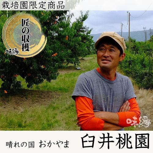 岡山白桃 2