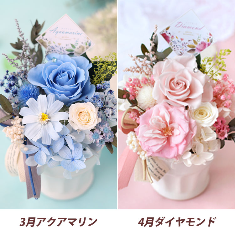 ブリザードフラワー パレット 11