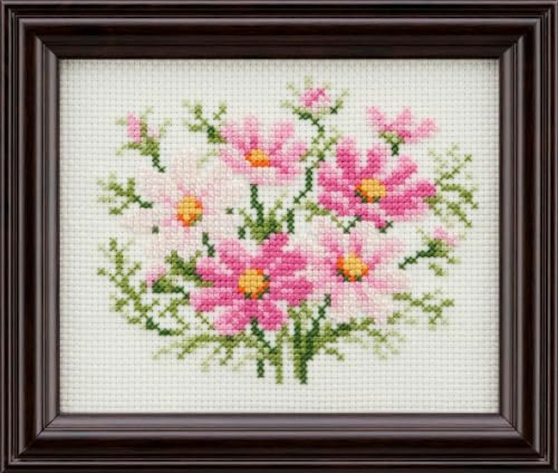 四季折々の花だより コスモス 1