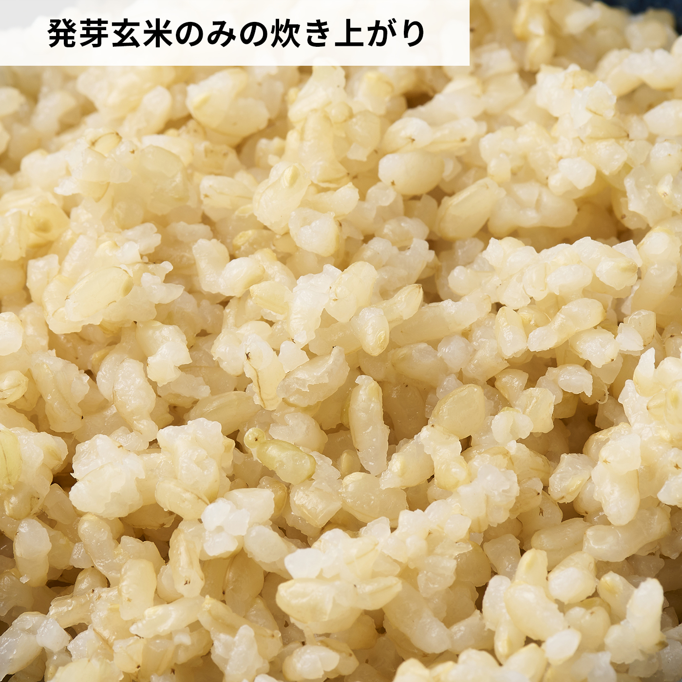 発芽玄米 6