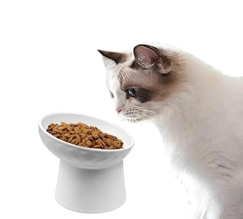 猫用フードボウル 1