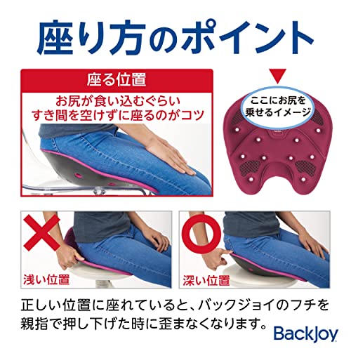 BackJoy 骨盤サポートシート  7
