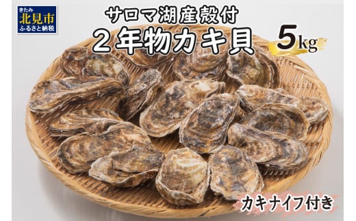 海のミルクサロマ湖産殻付2年物カキ貝 5kg 1