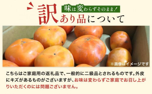 富有柿 4