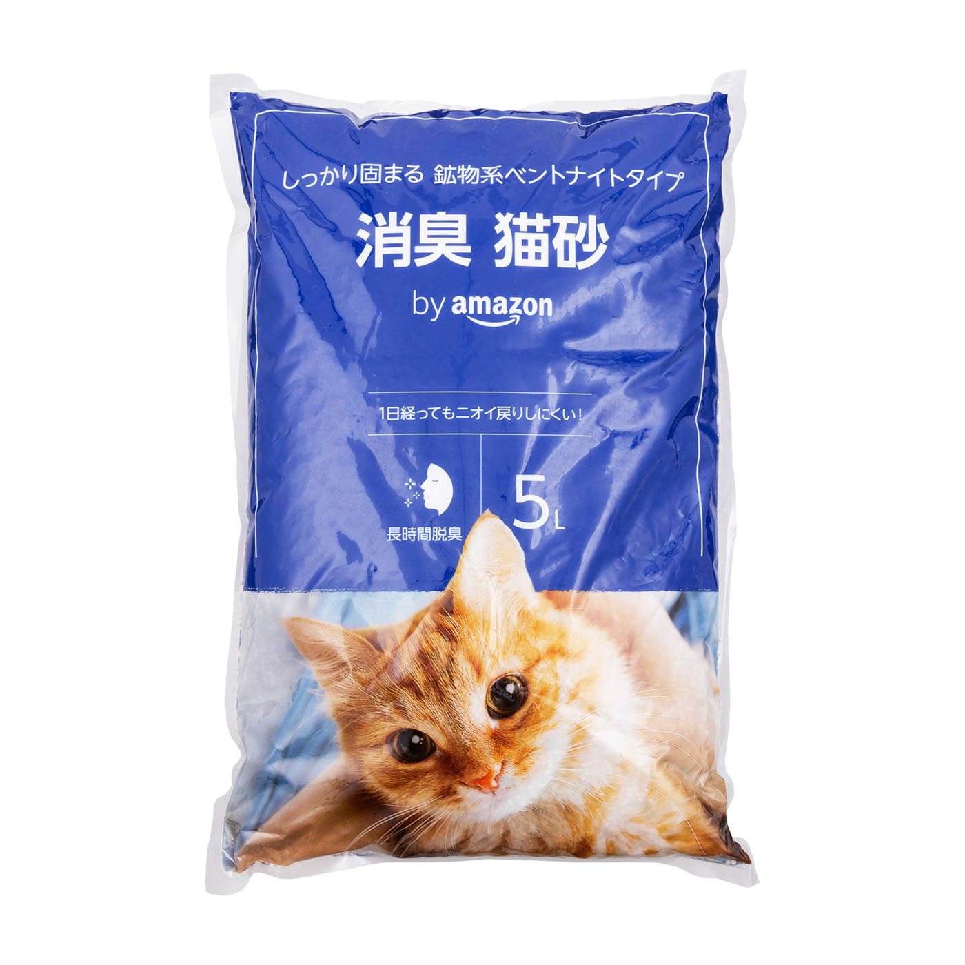 消臭猫砂 鉱物 1
